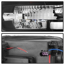 Load image into Gallery viewer, Photo - Unmounted