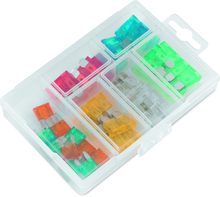 Load image into Gallery viewer, Photo - Primary