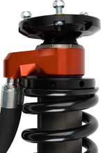 Load image into Gallery viewer, Photo - Close Up