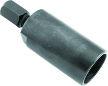 Load image into Gallery viewer, Photo - Primary