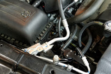 Load image into Gallery viewer, Photo - Mounted