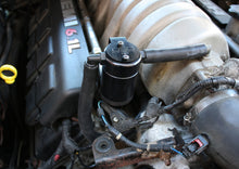 Load image into Gallery viewer, Photo - Primary