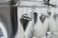 Load image into Gallery viewer, Photo - Close Up