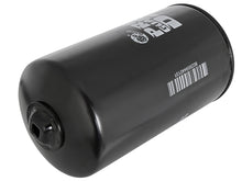 Load image into Gallery viewer, Photo - Unmounted