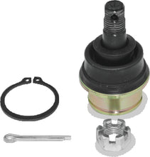 Load image into Gallery viewer, Photo - Primary