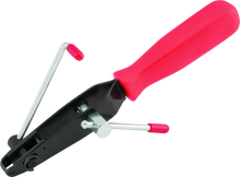 Load image into Gallery viewer, Photo - Primary