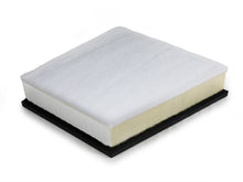 Load image into Gallery viewer, Photo - Unmounted