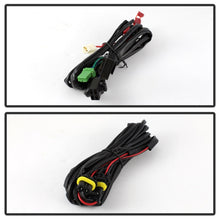 Load image into Gallery viewer, Photo - Unmounted