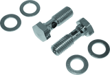 Bikers Choice Evolution Cam Big Twin Breather Bolt Kit