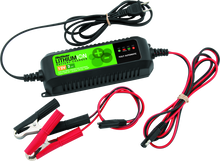 Load image into Gallery viewer, BikeMaster Lithium Ion Battery Charger