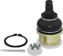 Load image into Gallery viewer, Photo - Primary