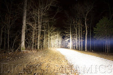 Load image into Gallery viewer, User 6