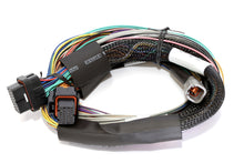 Load image into Gallery viewer, Haltech Elite 2500 Basic Universal Wire-In Harness w/o Relays or Fuses - 2.5m (8ft)
