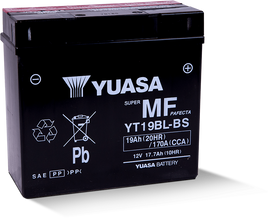 Yuasa YT19BL-BS Maintenance Free AGM 12-Volt Battery w/Bottle