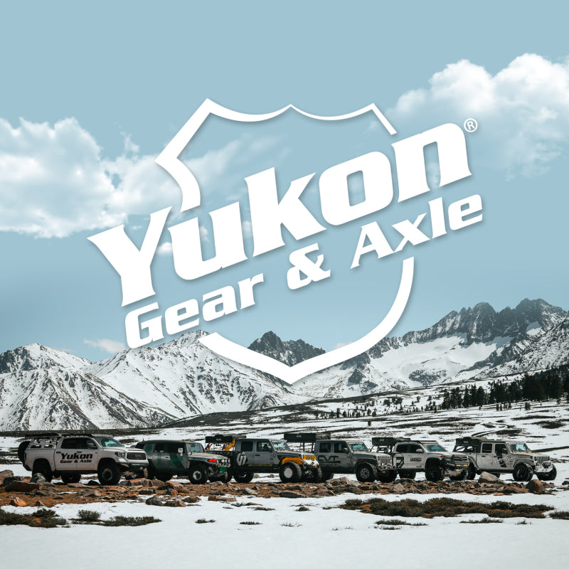 Yukon Gear 8.25in Chrysler / Model 35 / D36 ICA / & Dana 28 Tracloc Clutch Set